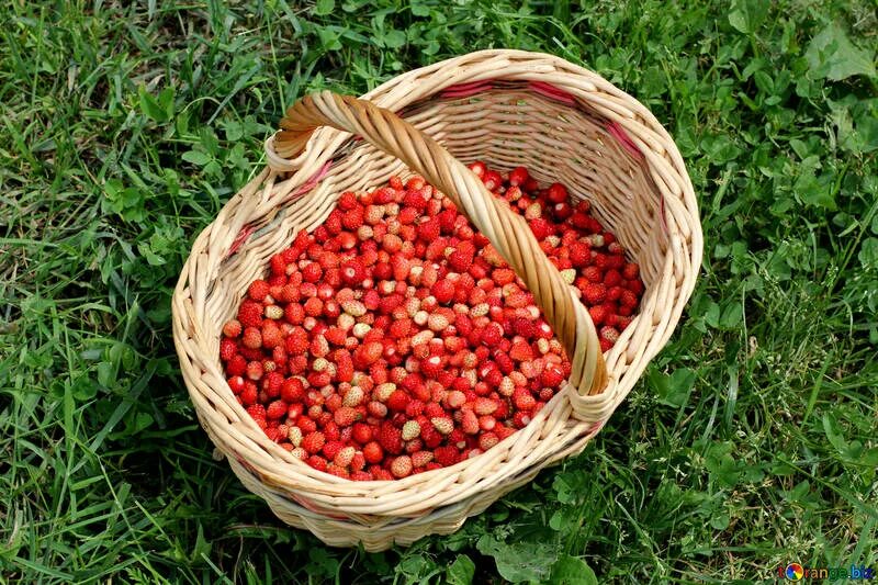 Найти ягоду по фото Strawberry free image - № 26030