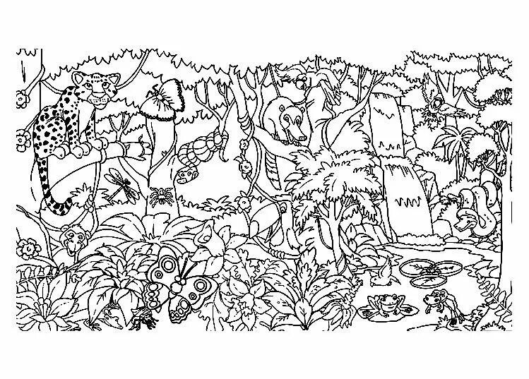 Найти животных на картинке сложные Un coloriage à première vue enfantin mais assez complexe d'une Forêt luxuriante 