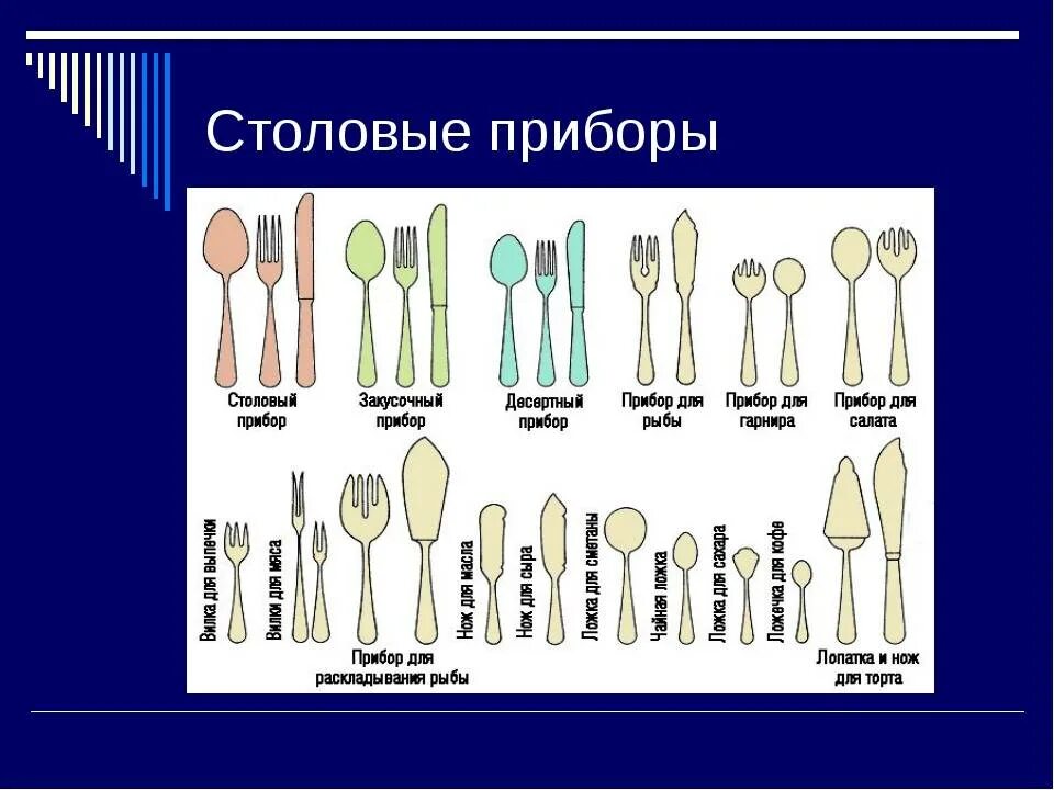 Назначение и виды фото Картинки ОСНОВНЫЕ ВИДЫ ПОСУДЫ