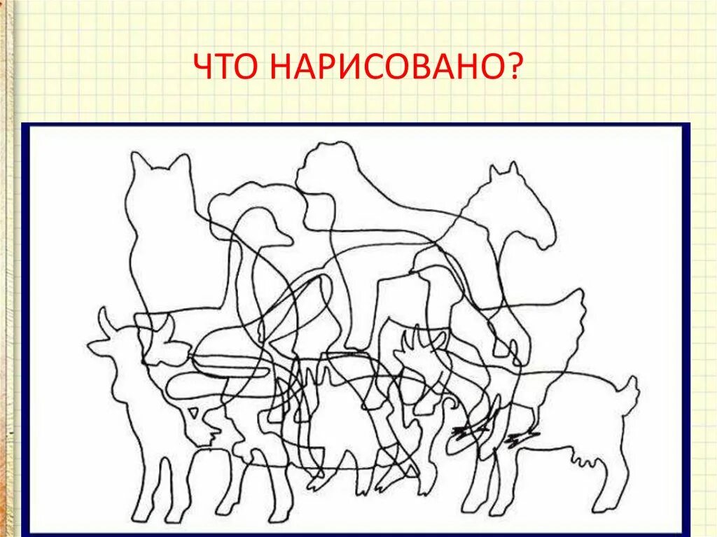 Назовите животное на картинке Игра на внимание 3 класс: найдено 85 изображений