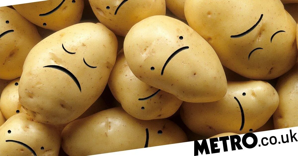 Название белой картошки сортов фото Most of the world’s potatoes are severely depressed, researchers warn Metro News