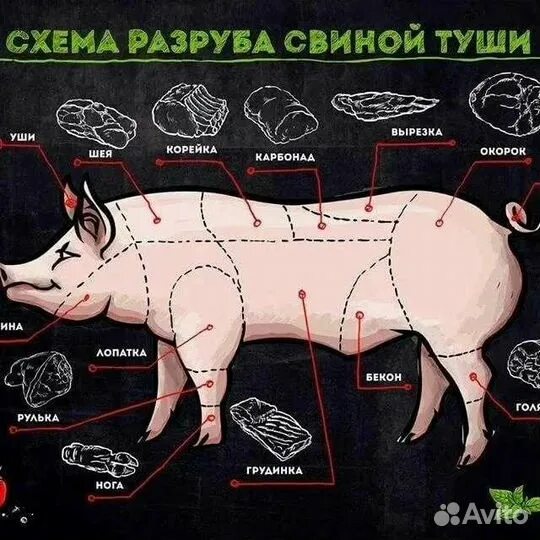 Название частей мяса свинины с фото Мясноff-Свежее Мясо/Свинина/доставка бесплатная купить в Нижнем Тагиле Товары дл