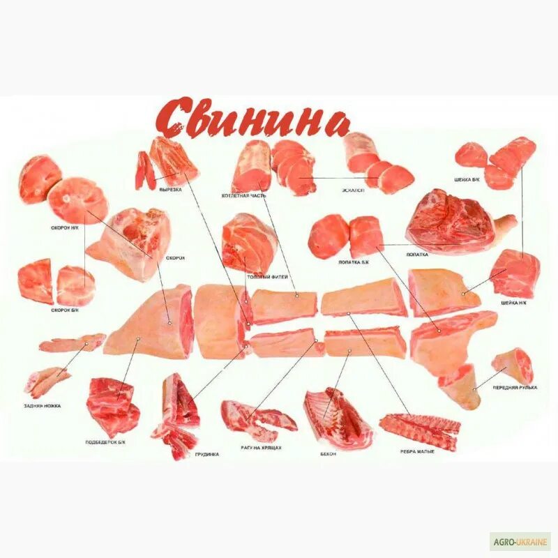 Название частей мяса свинины с фото Закуповуємо оптом свинину та свині субпродукти - Agro-Ukraine