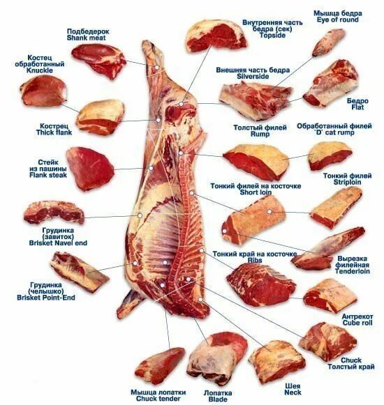 Название частей мяса свинины с фото Как смягчить жёсткое мясо Beef steak recipes, Culinary arts recipes, Food facts