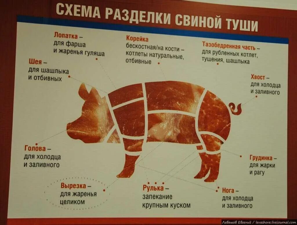 Название частей мяса свинины с фото Ошеек свиной где находится eCookie.ru