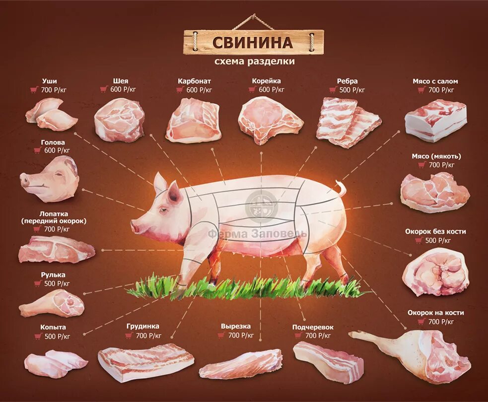 Название частей мяса свинины с фото Infographics on Behance