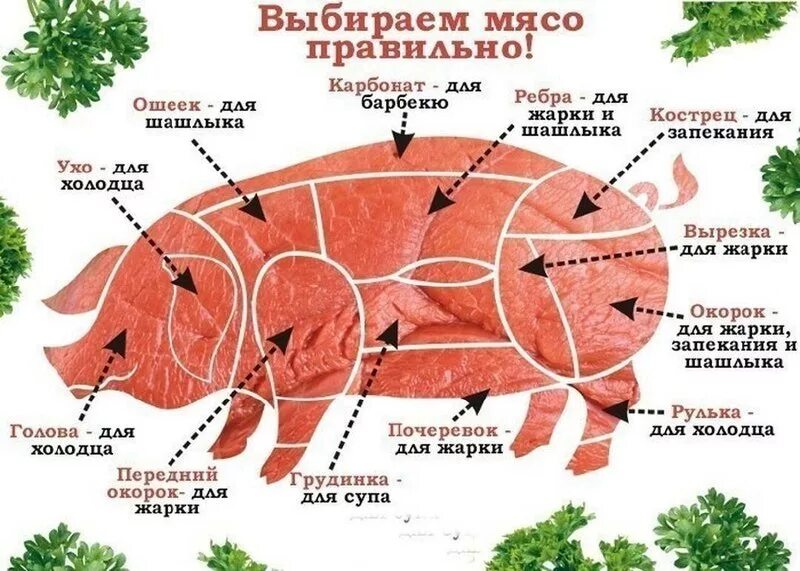 Название частей мяса свинины с фото Ответы Mail.ru: Как называется задок свиной правильно в окее? а то я не нашел и 