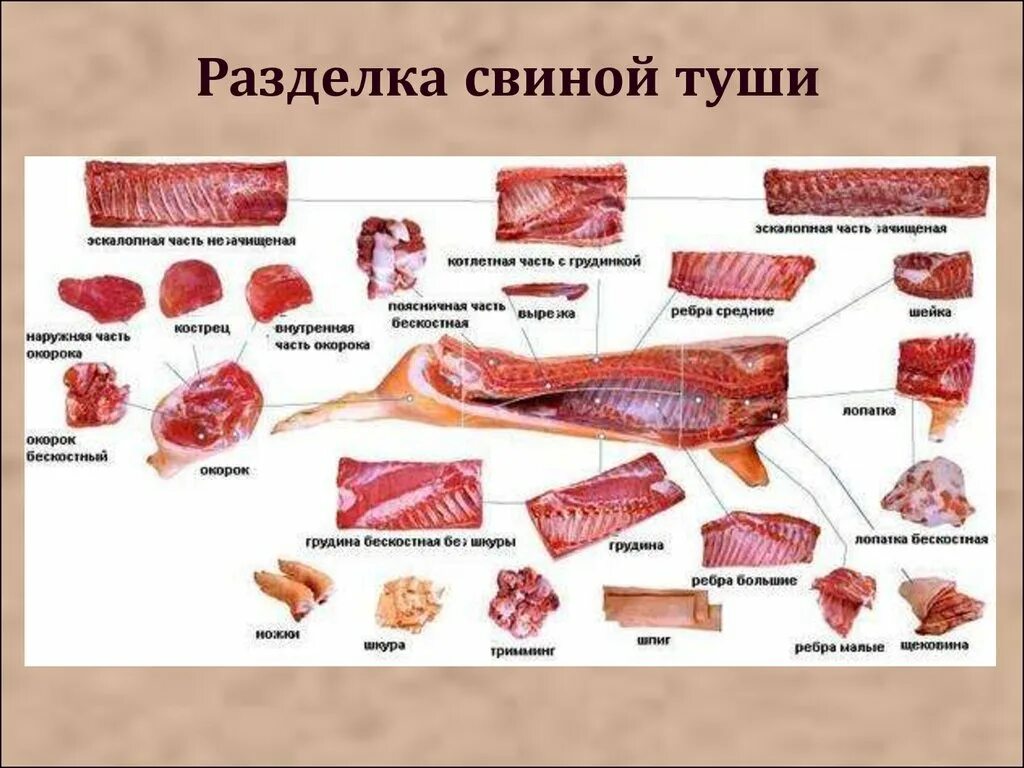 Название частей свинины при разделке фото Части туши свинины - CoffeePapa.ru