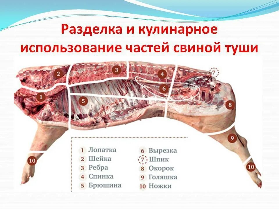 Название частей свинины при разделке фото Где больше мяса в передней или задней части свинины CoffMachines.ru