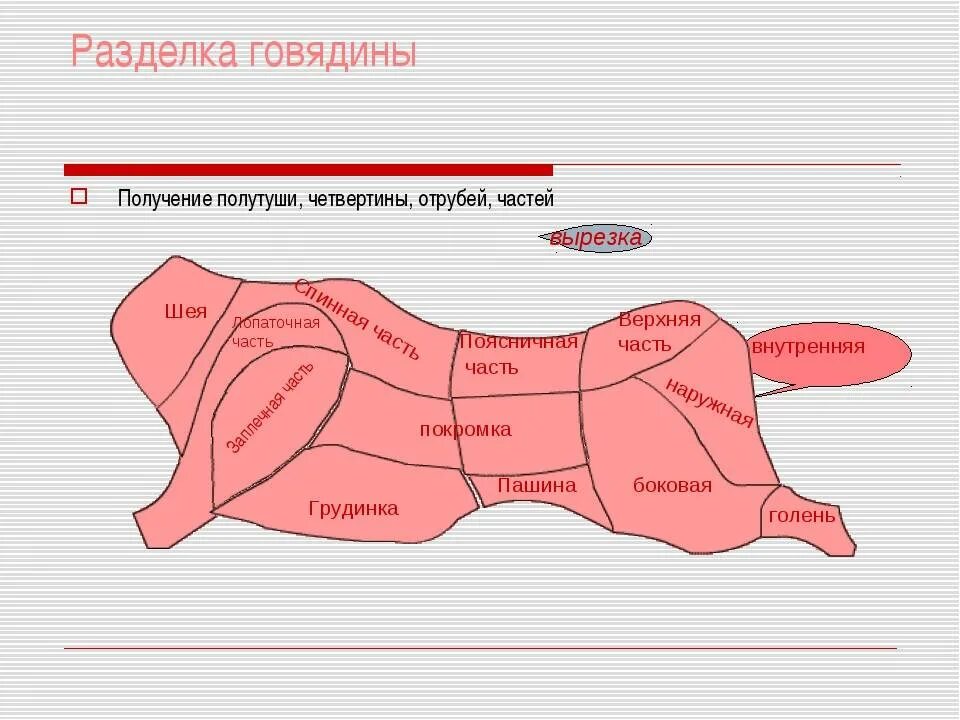 Название частей туши говядины при разделке фото Картинки РАЗДЕЛКА ТУШ ВИДЕО