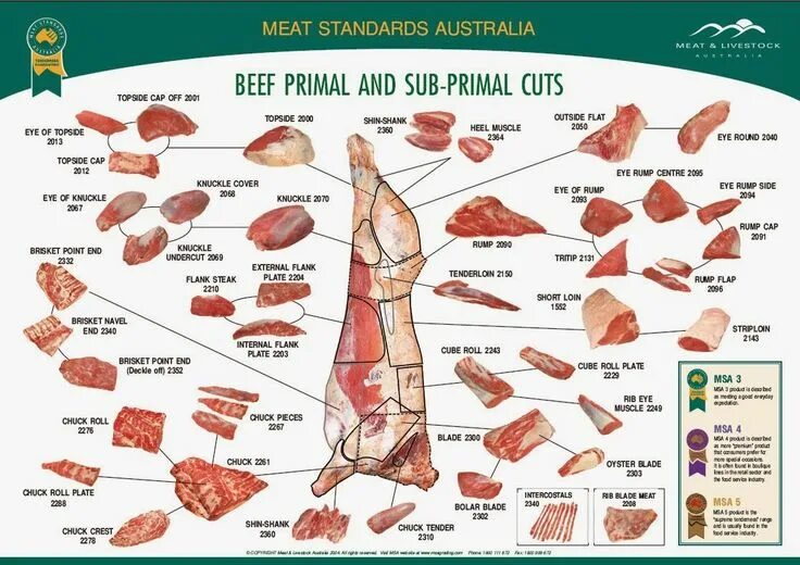 Название частей туши говядины при разделке фото Beef Primal and Sub Primal cuts Meat cuts, Beef cuts chart, Primal cut