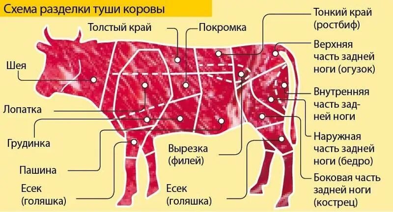 Название частей туши говядины при разделке фото Ответы Mail.ru: Как называется часть говяжьей туши?