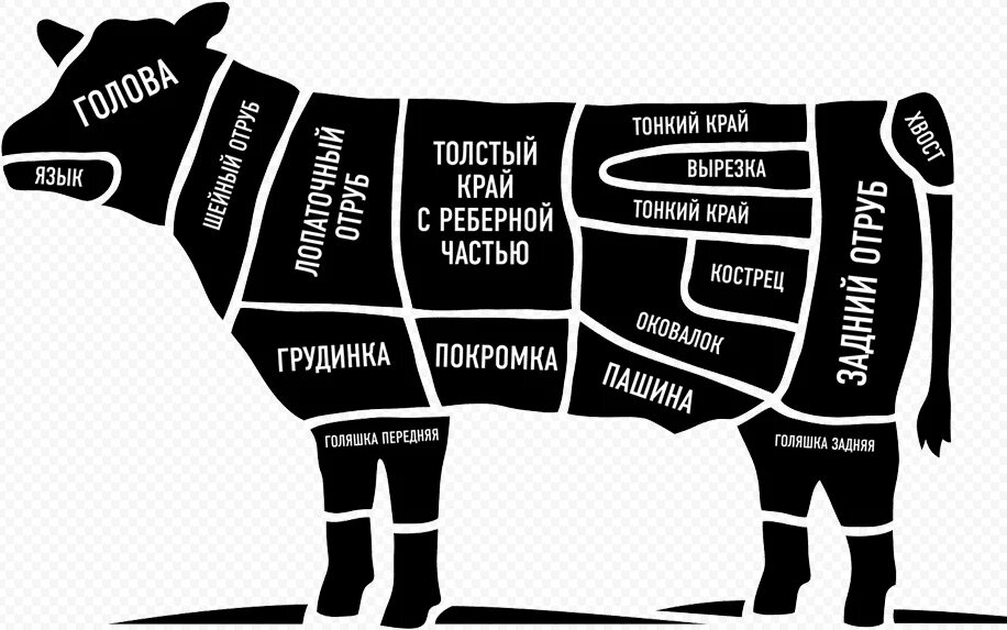Название частей туши говядины при разделке фото Как правильно выбирать мясо
