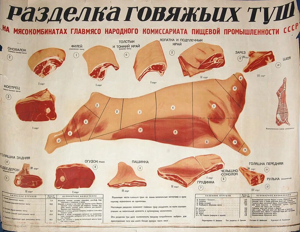 Название частей туши говядины при разделке фото Разделка красной туши (заметки о советской еде-1) Егор Холмогоров Дзен