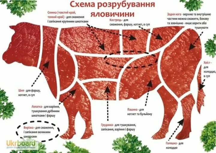 Название частей туши говядины при разделке фото Неактивно