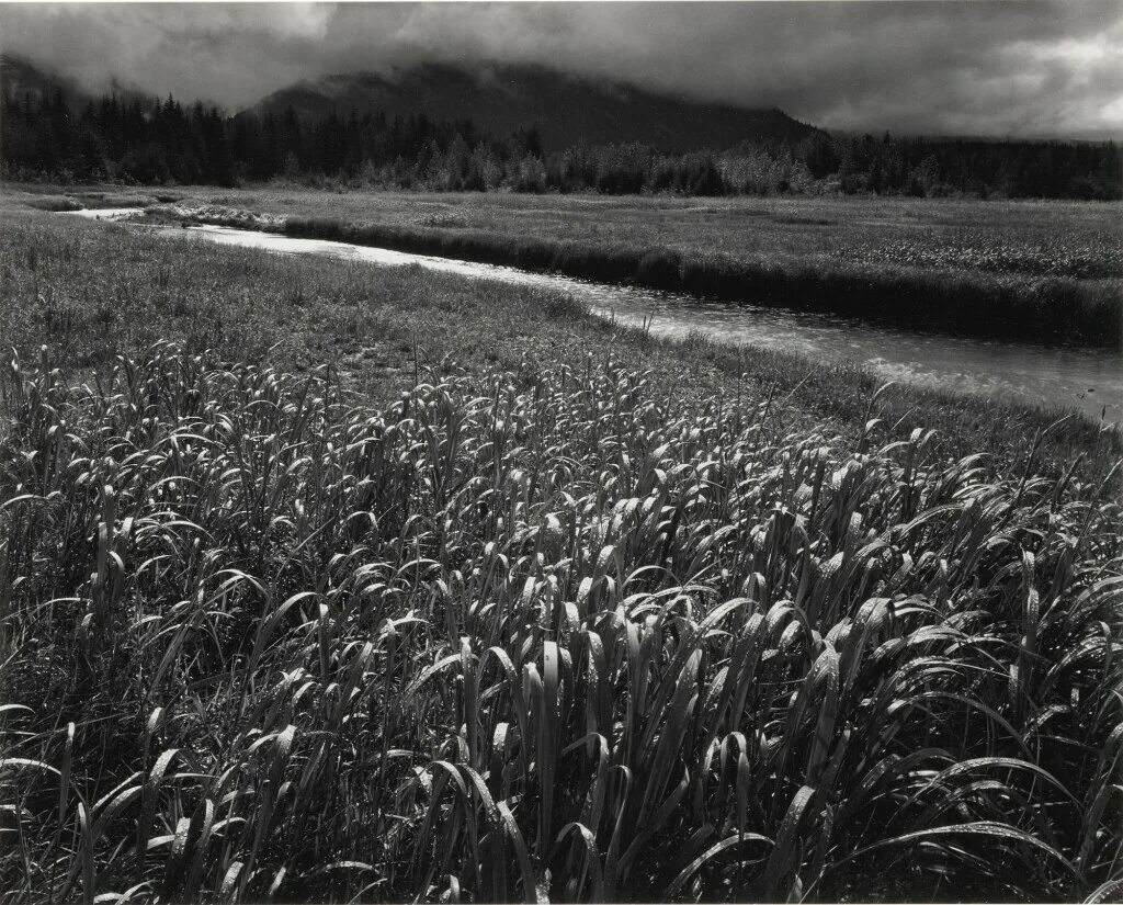 Название черно белого фото Bear Track Cove, Alaska' Photographs 2021 Sotheby's