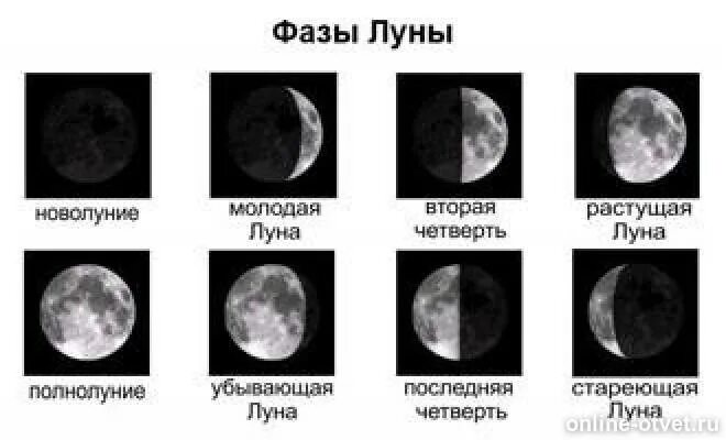 Название для фото луны Ответы: Ближе к вечеру человек видит луну такой. где расположено солнце.