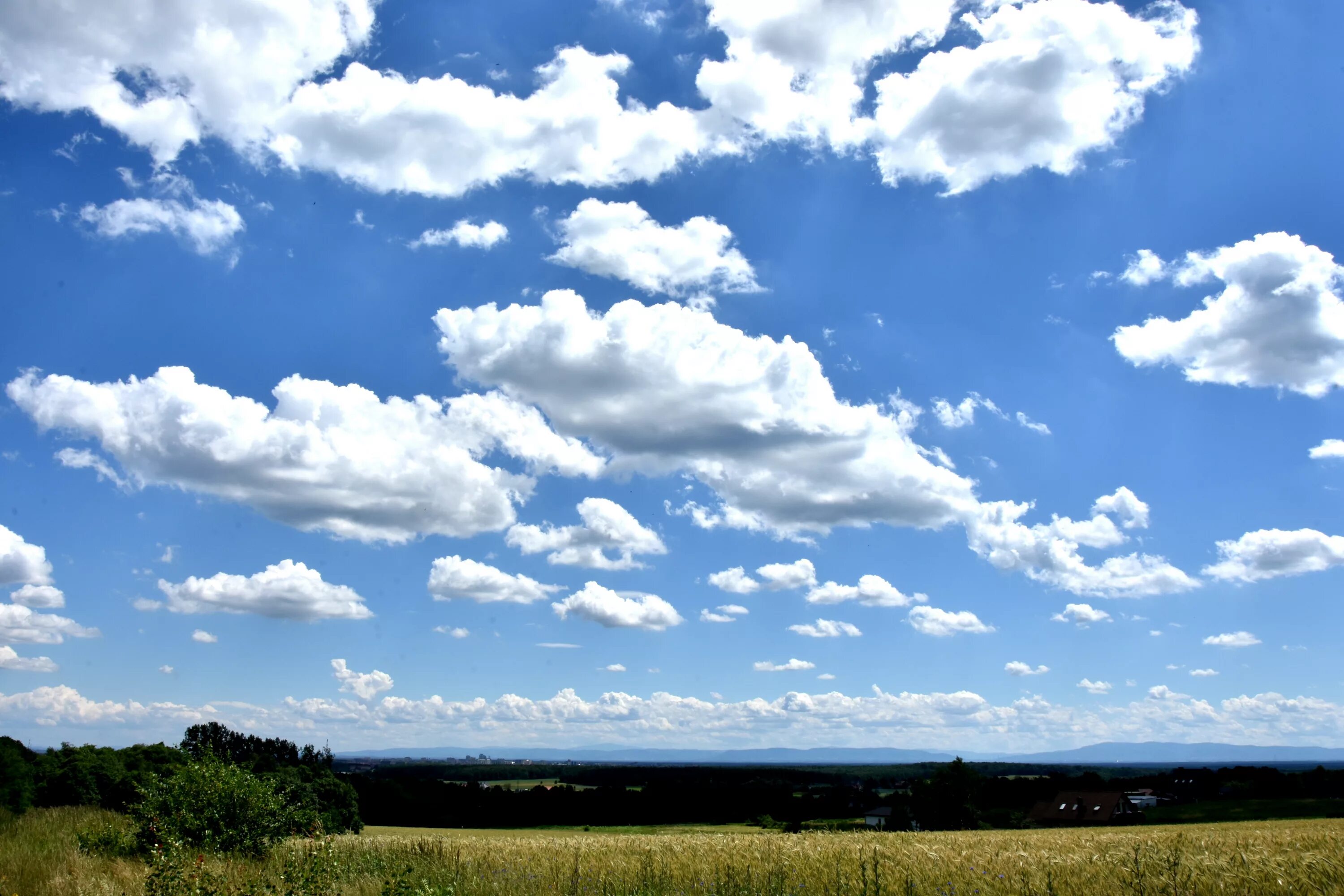Название фото небо Free Images : landscape, nature, grass, horizon, cloud, sky, white, field, meado