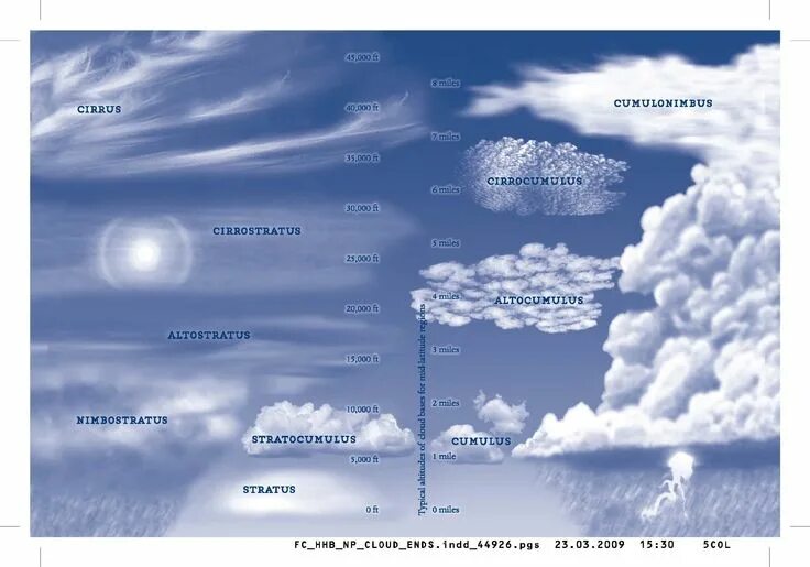 Название фото облаков cloud collector's handbook Cloud type, Survival, Survival life