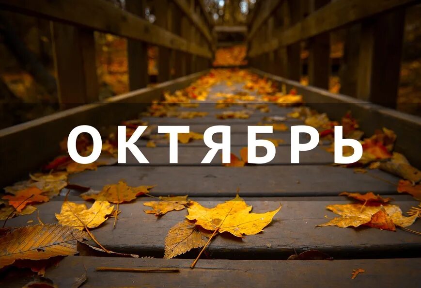 Название фото про осень Навигатор детства новости