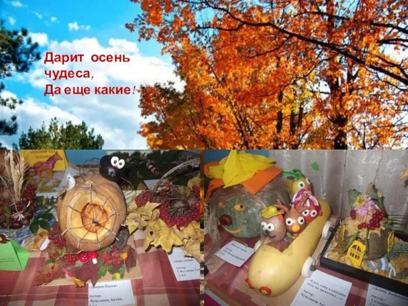 Название фото про осень Уважаемые ребята и родители! Напоминаем, что с 11 сентября открылась выставка по