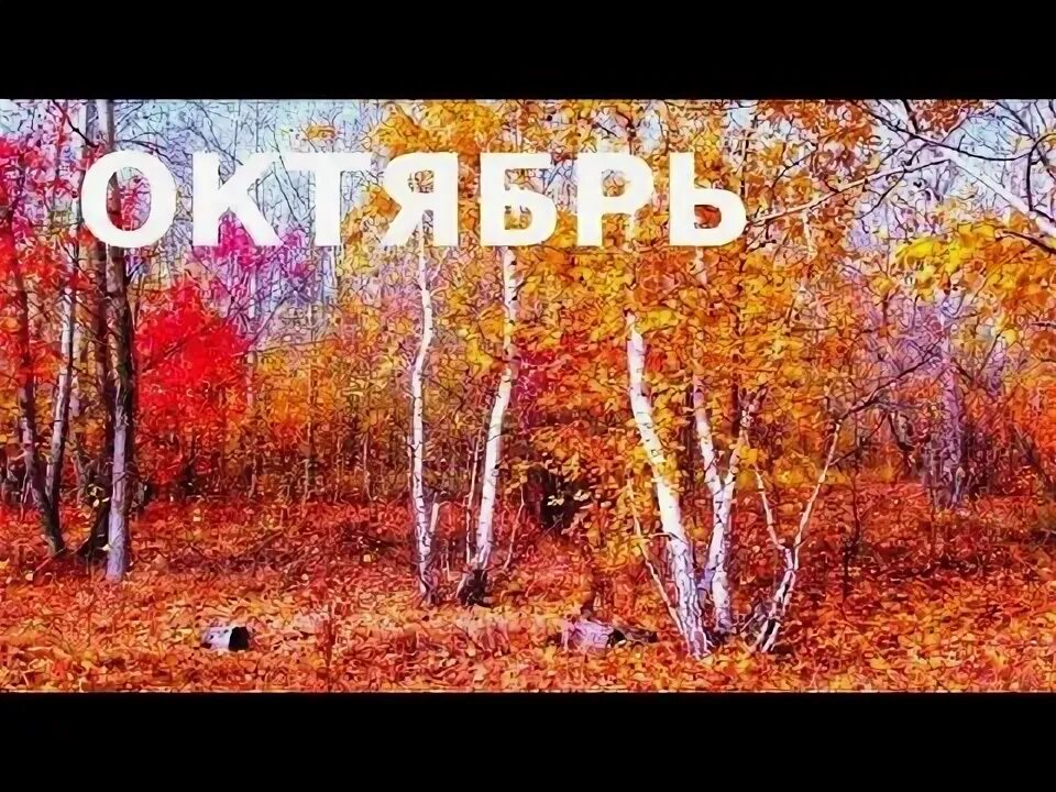 Название фото про осень ЛЕВ. ОКТЯБРЬ. - YouTube
