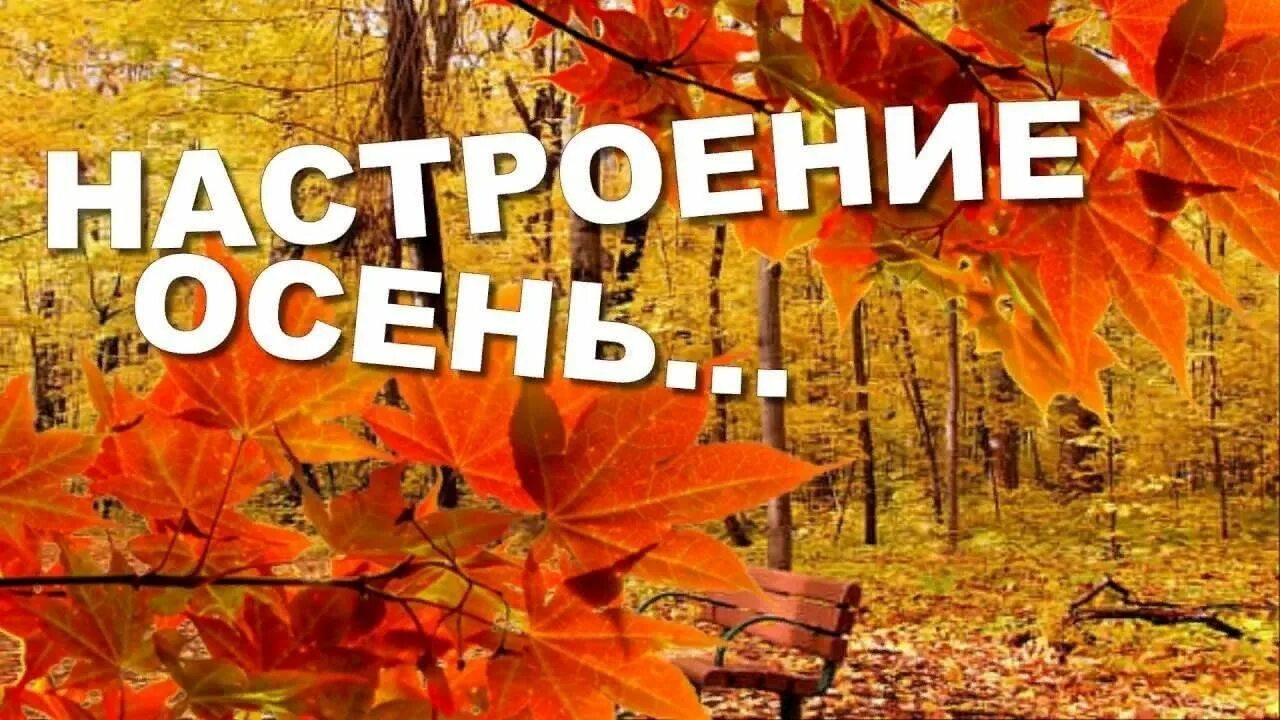 Название фото про осень Цвет настроения - Осень" танцевальный вечер 2023, Альметьевский район - дата и м