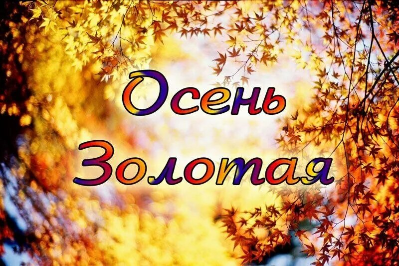Название фото про осень Выставка-ярмарка среди школьников "Золотая осень"