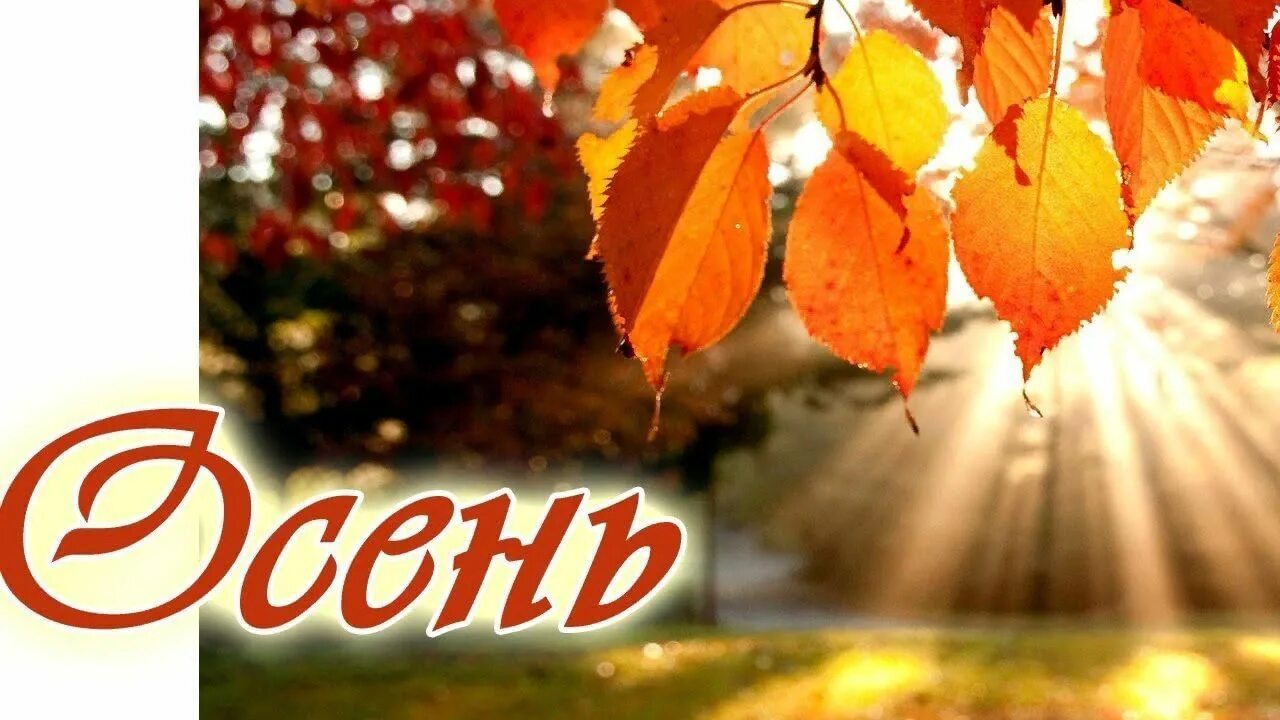 Название фото про осень Осень, осень в гости просим"-обзор книжной выставки. 2022, Ольховатский район - 