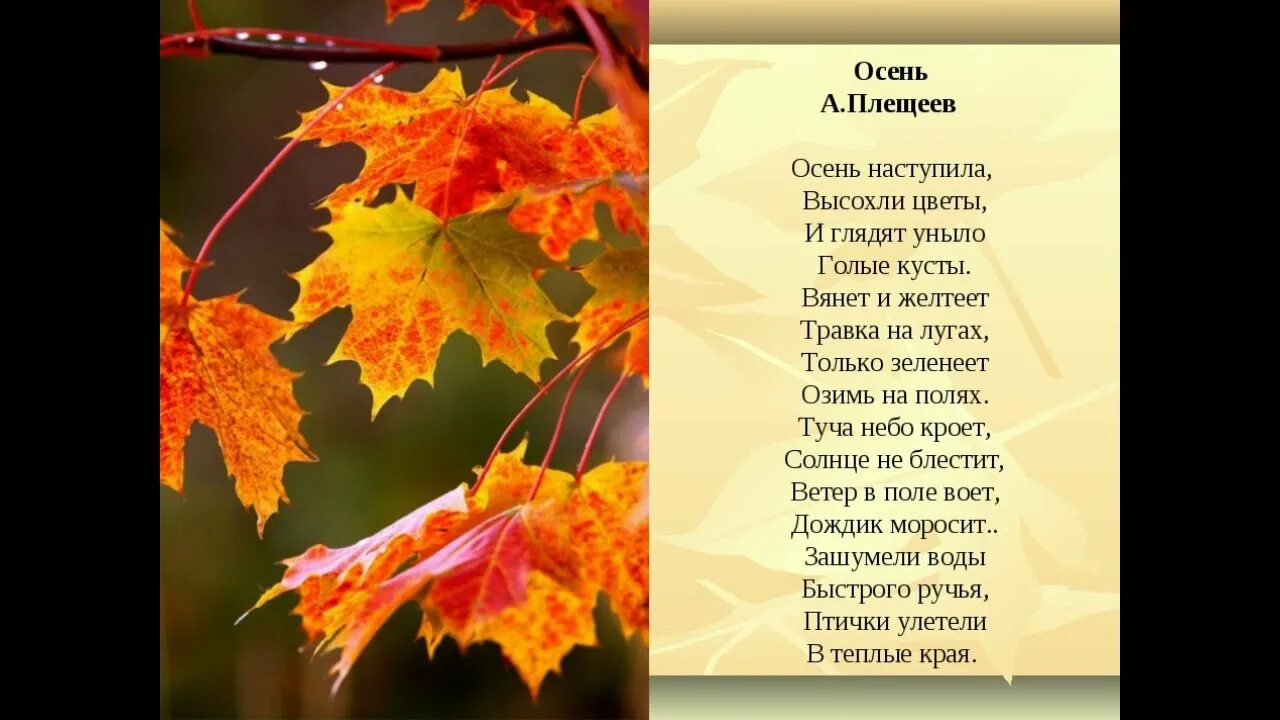 Название фото про осень Мне осень навеяла стихи - YouTube