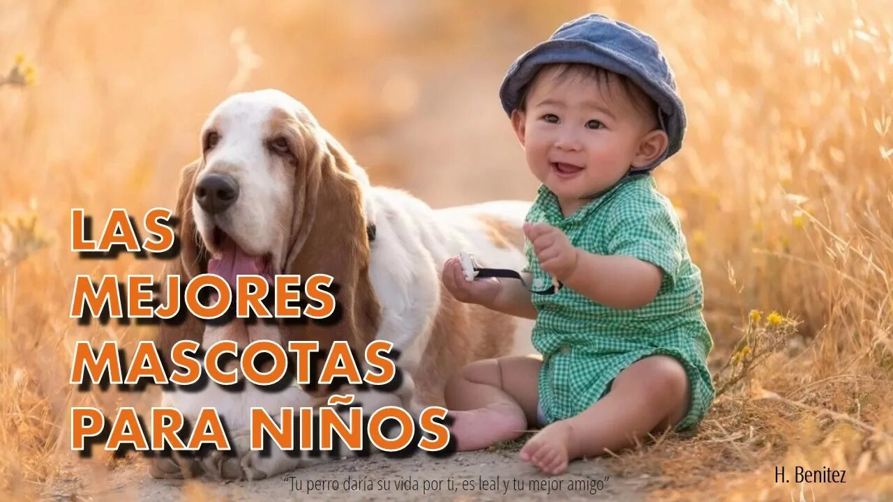 Название фото ребенка с собакой Razas de perros para mascotas - YouTube