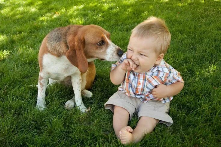 Название фото ребенка с собакой Adored for his curious and friendly personality, the Beagle is the 5th most popu