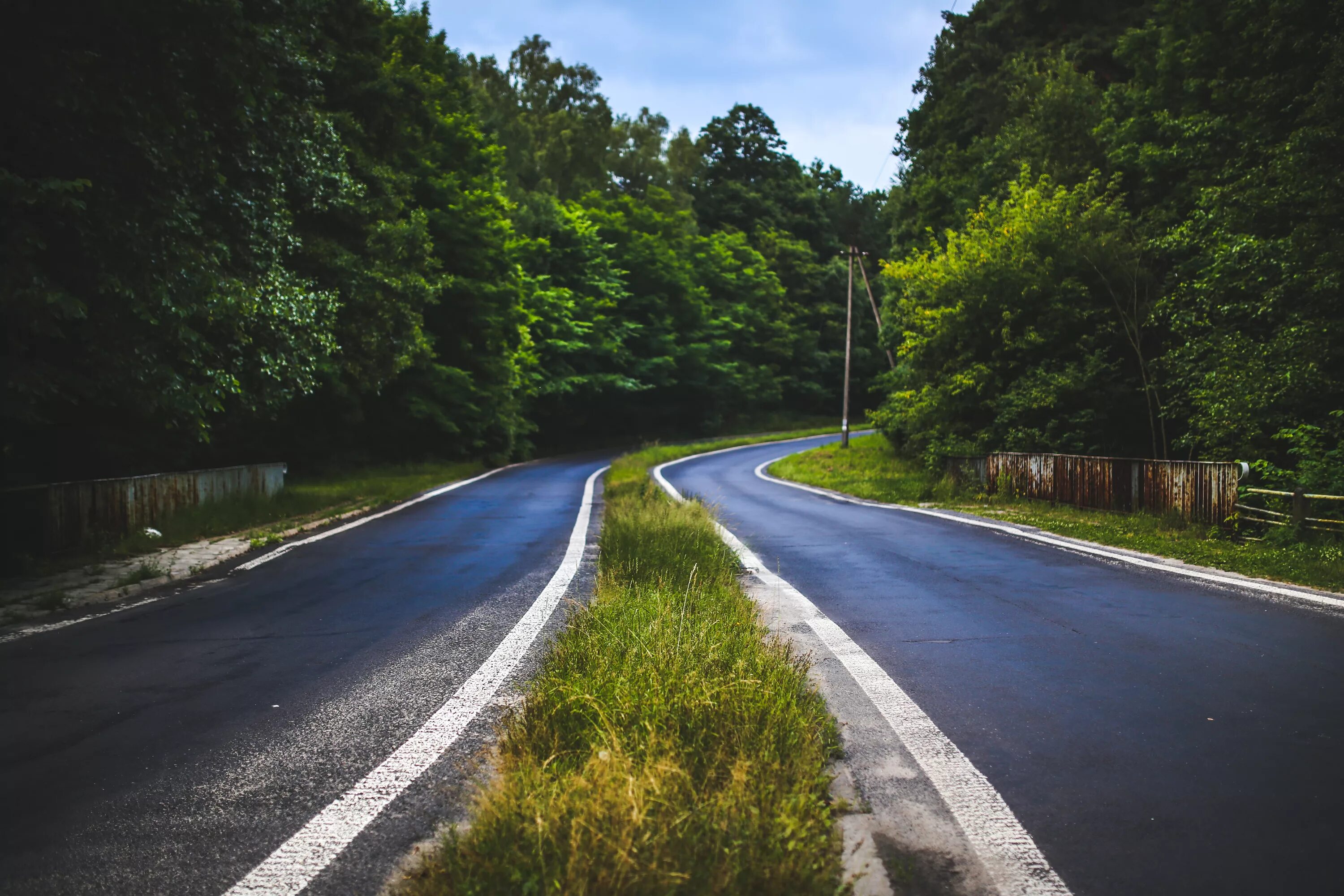 Название фото с дорогой Free Images : tree, forest, asphalt, green, journey, route, lane, trees, road tr
