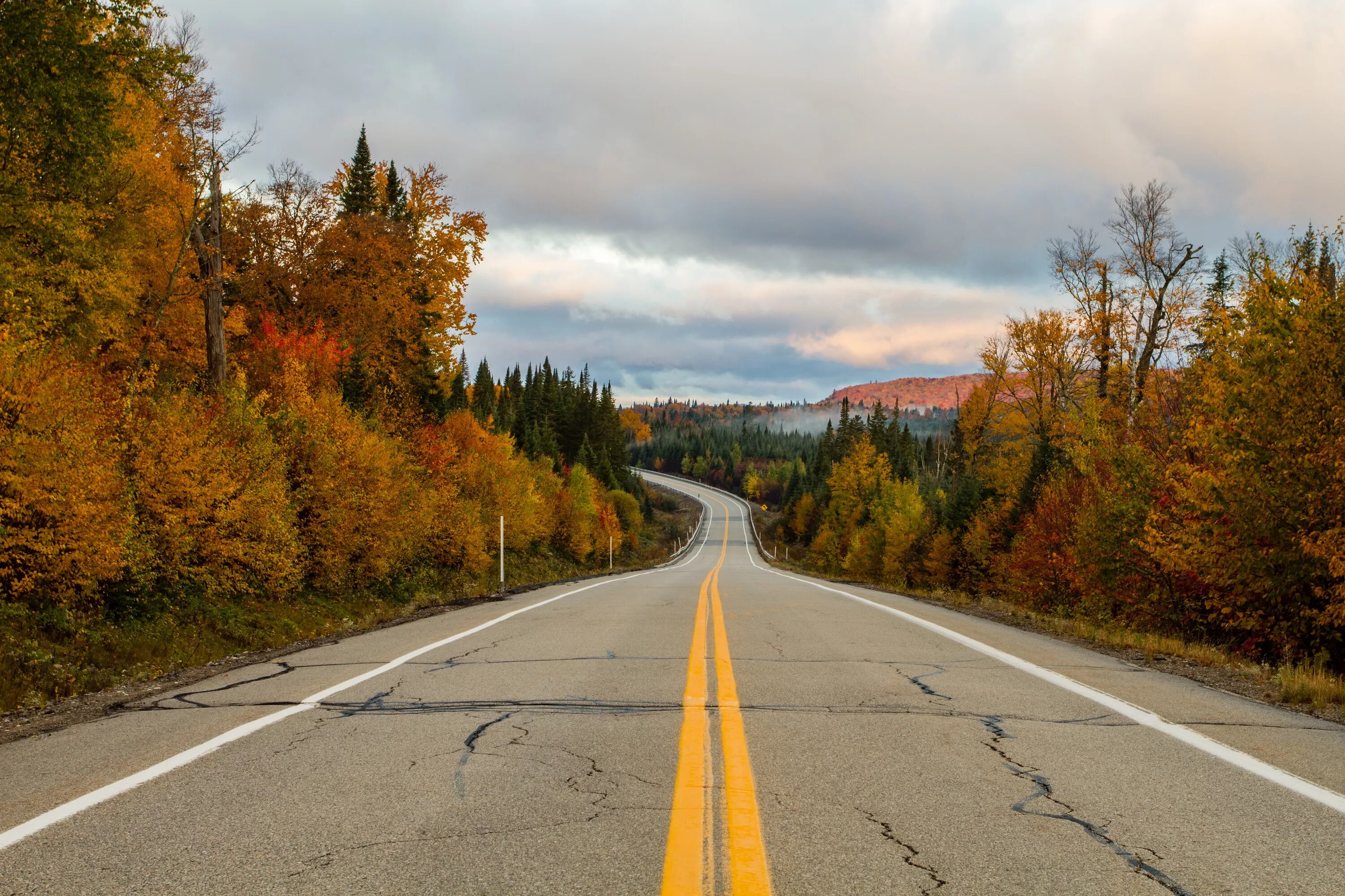 Название фото с дорогой Free Images : tree, morning, leaf, highway, asphalt, autumn, lane, season, road 