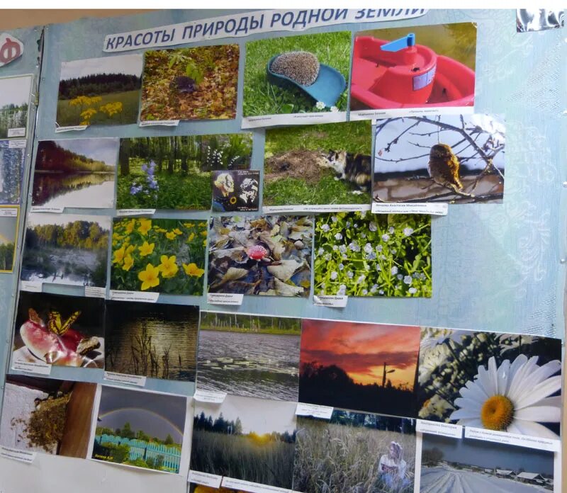 Название фото с природой на конкурс Газета "Новая Жизнь"
