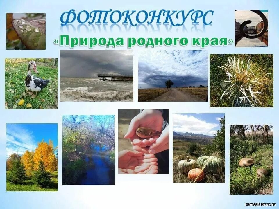 Название фото с природой на конкурс Фотоконкурс "Природа родного края" 2023, Мамадышский район - дата и место провед