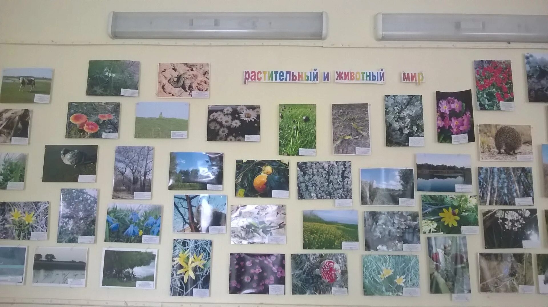 Название фото с природой на конкурс Природа родного края глазами детей