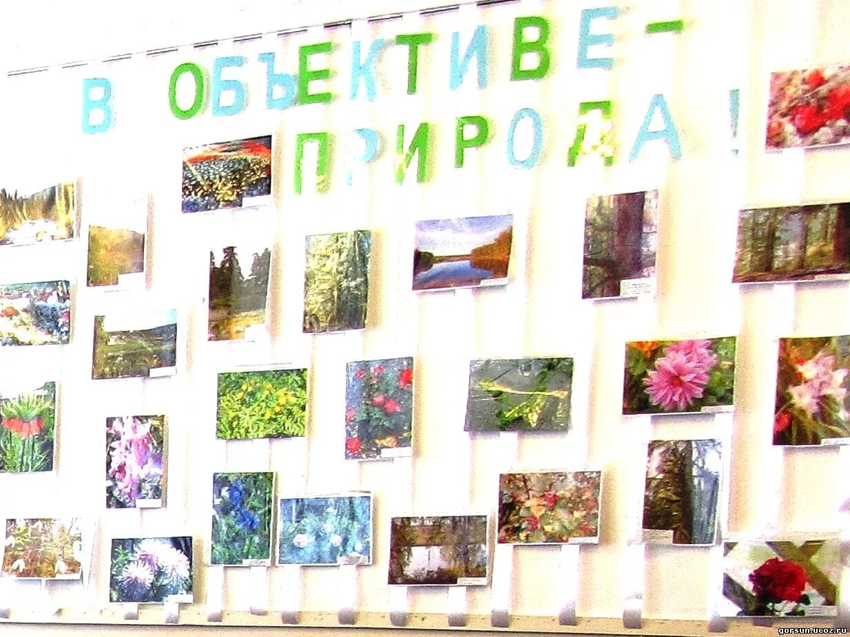 Название фото с природой на конкурс Конкурс фотографий "В объективе - природа" - 30 Ноября 2015 - Архив сайта МБОУДО