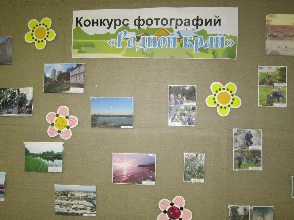 Название фото с природой на конкурс Фотоконкурс "Родная природа" 2023, Шаранский район - дата и место проведения, пр