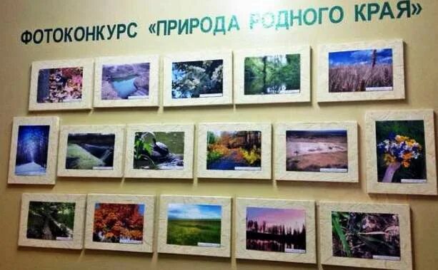 Название фото с природой на конкурс Фотовыставка "Природа Родины моей" - Отдел образования администрации Красненског