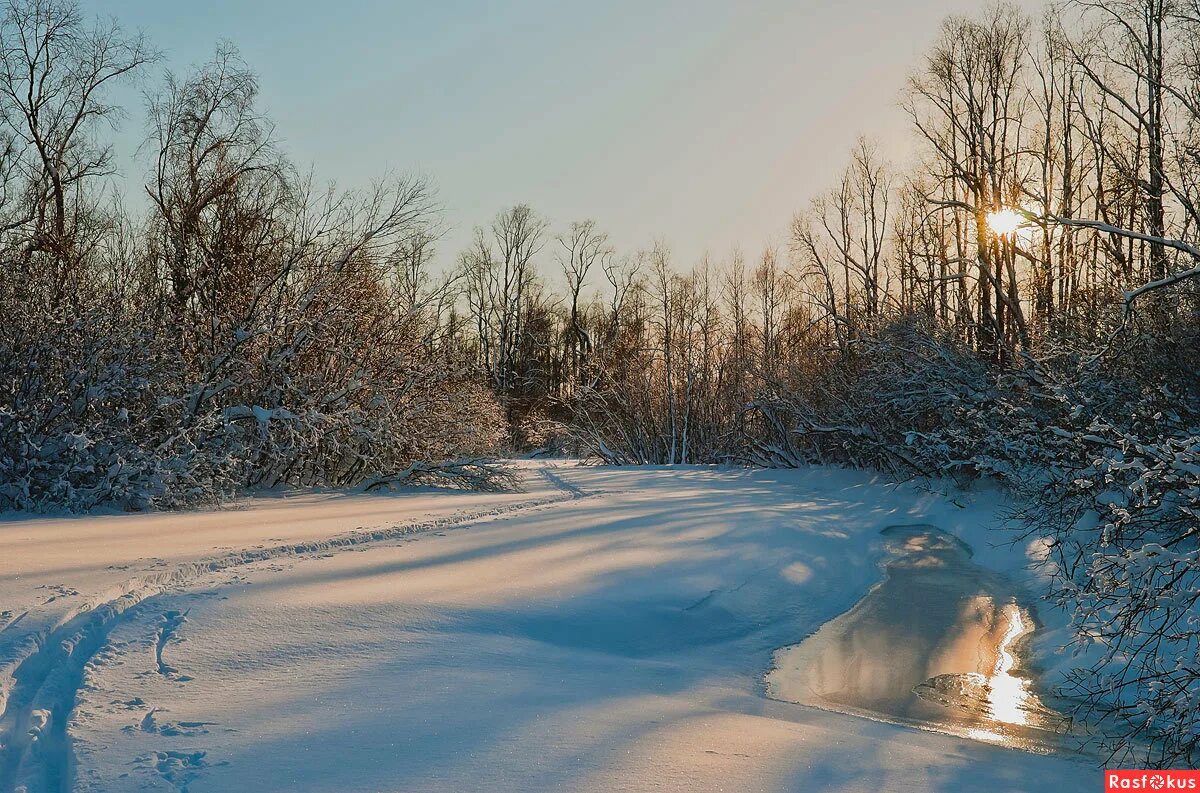 Название фото зимы Фото: Зимний пейзаж. Фотограф Сергей Черныш. Пейзаж. Фотосайт Расфокус.ру