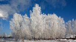 Название фото зимы Название фото зимы Shtampik.com