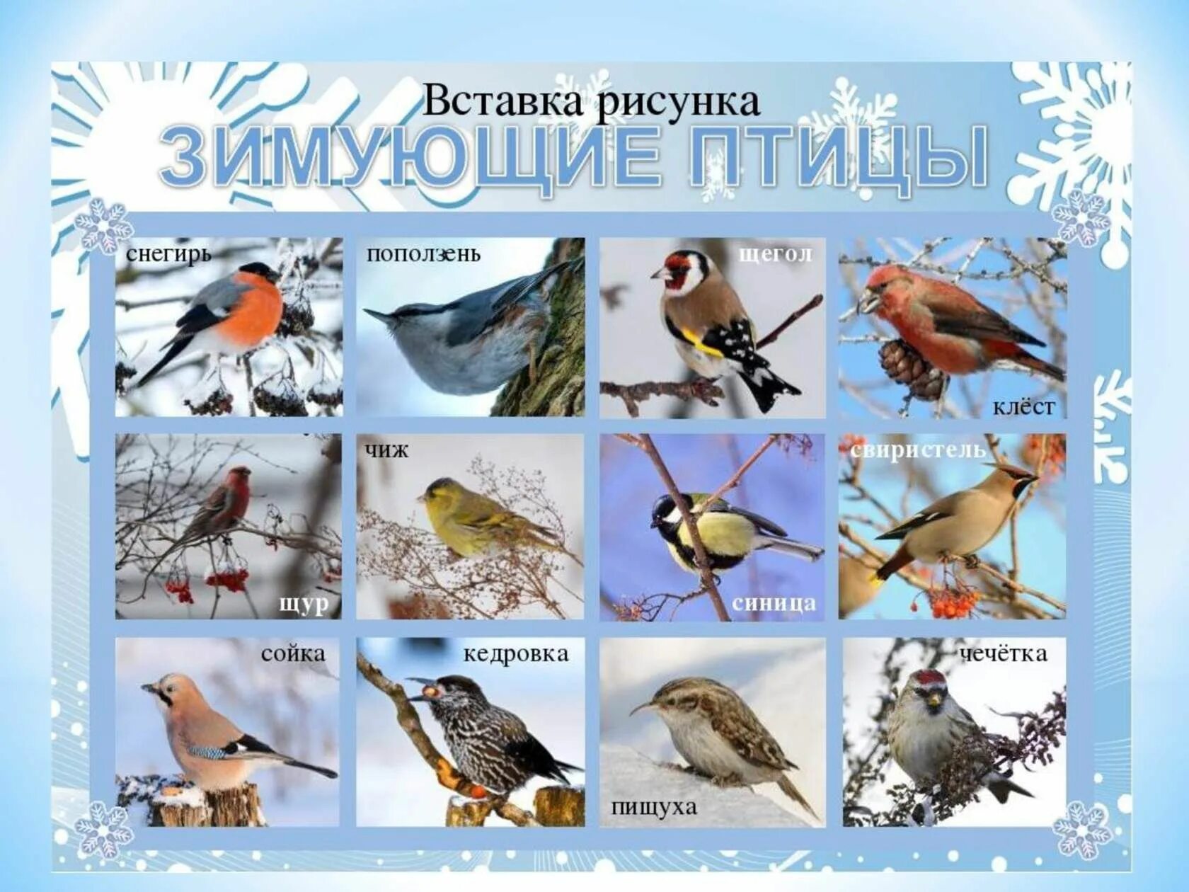 Название фото зимы Одноклассники