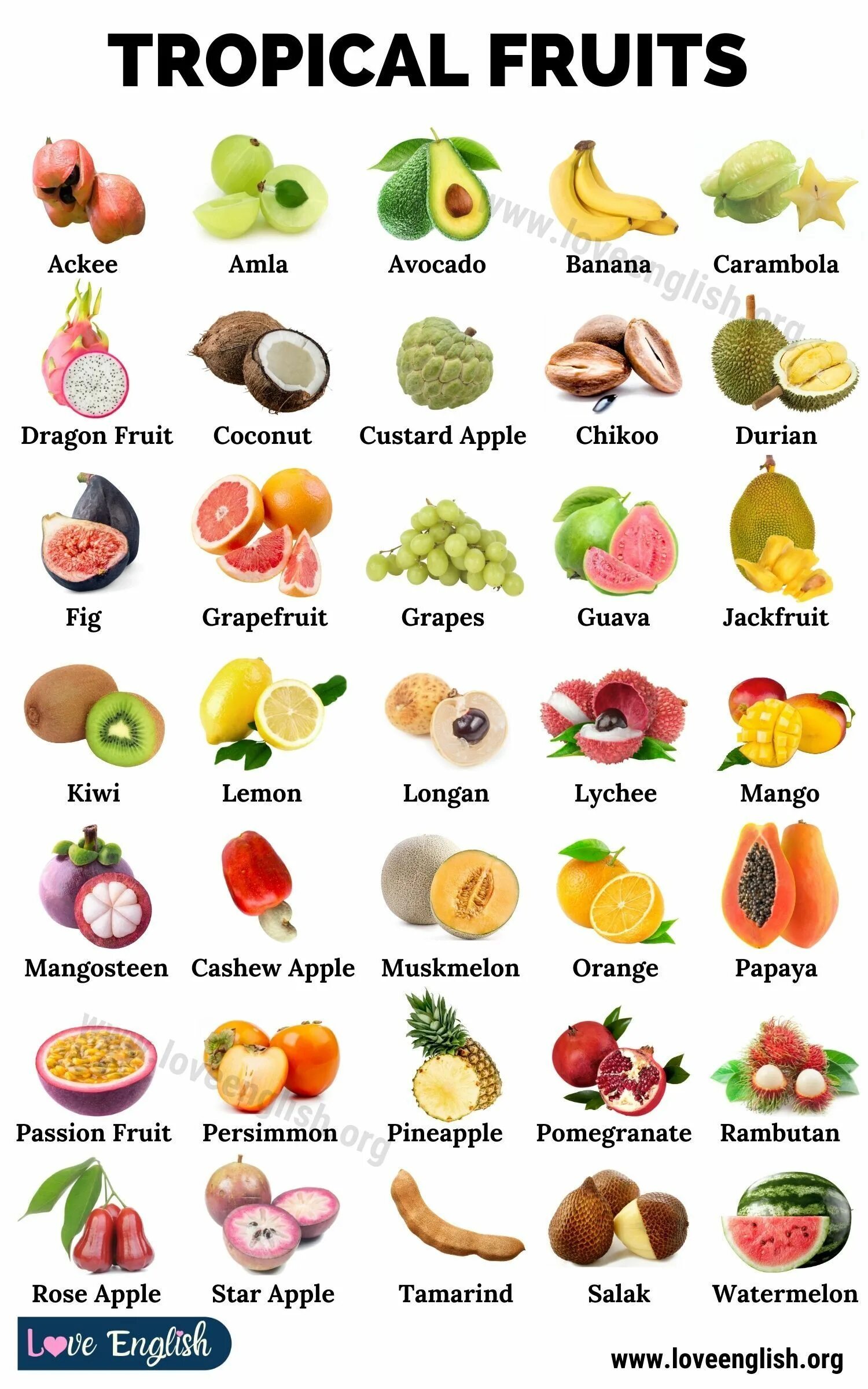 Название фрукта по фото онлайн бесплатно Tropical Fruits: Top 35 Delicious Tropical Fruits You Should Try - Love English 