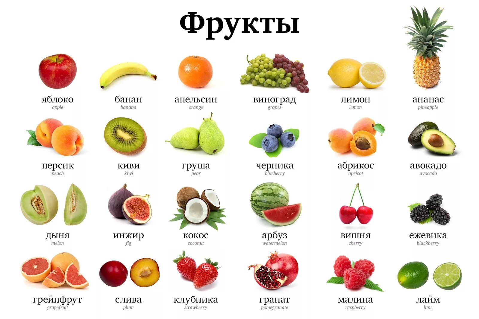 Название фруктов по фото онлайн Название всех фруктов eCookie.ru