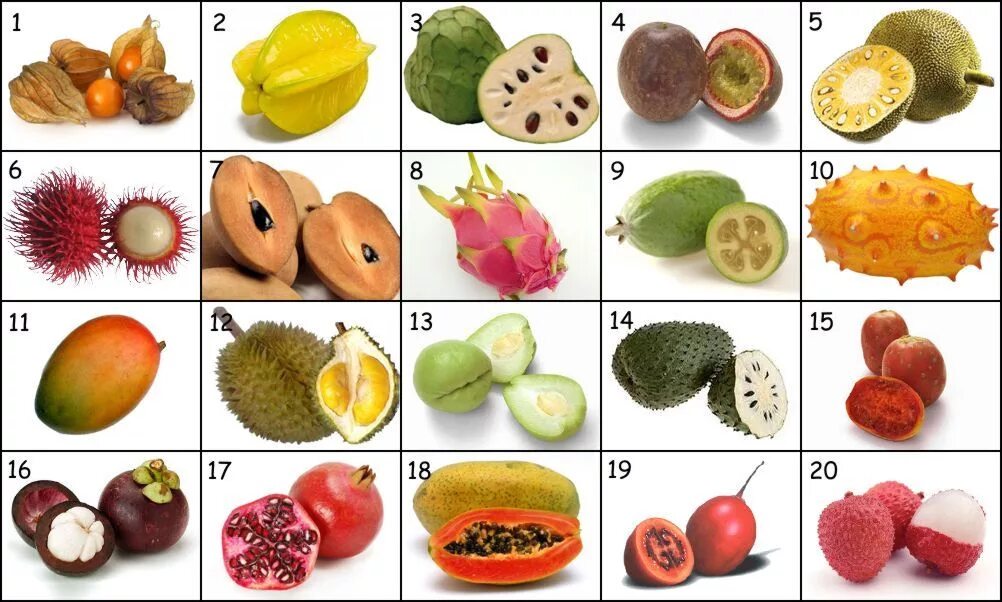 Название фруктов по фото онлайн exotic fruits of the world to be guessed in order The world is full of colourful