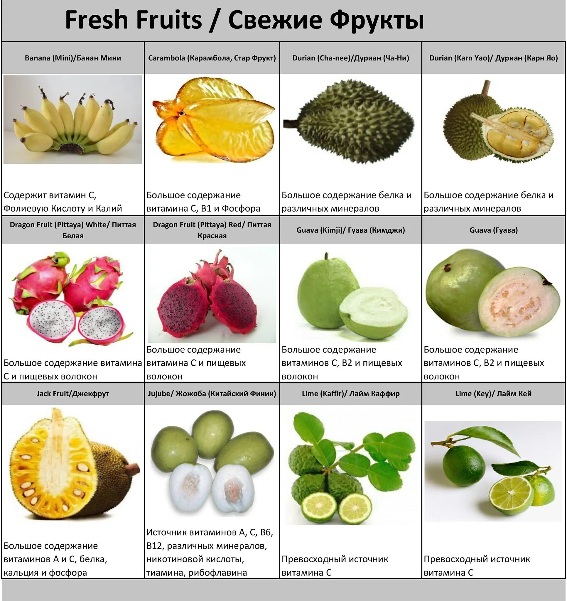 Название фруктов по фото онлайн Популярные экзотические фрукты eCookie.ru