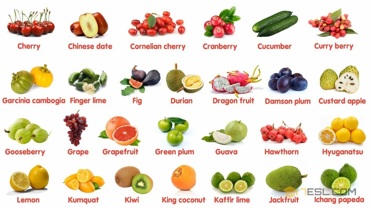 Название фруктов по фото онлайн Fruit Names in English - YouTube