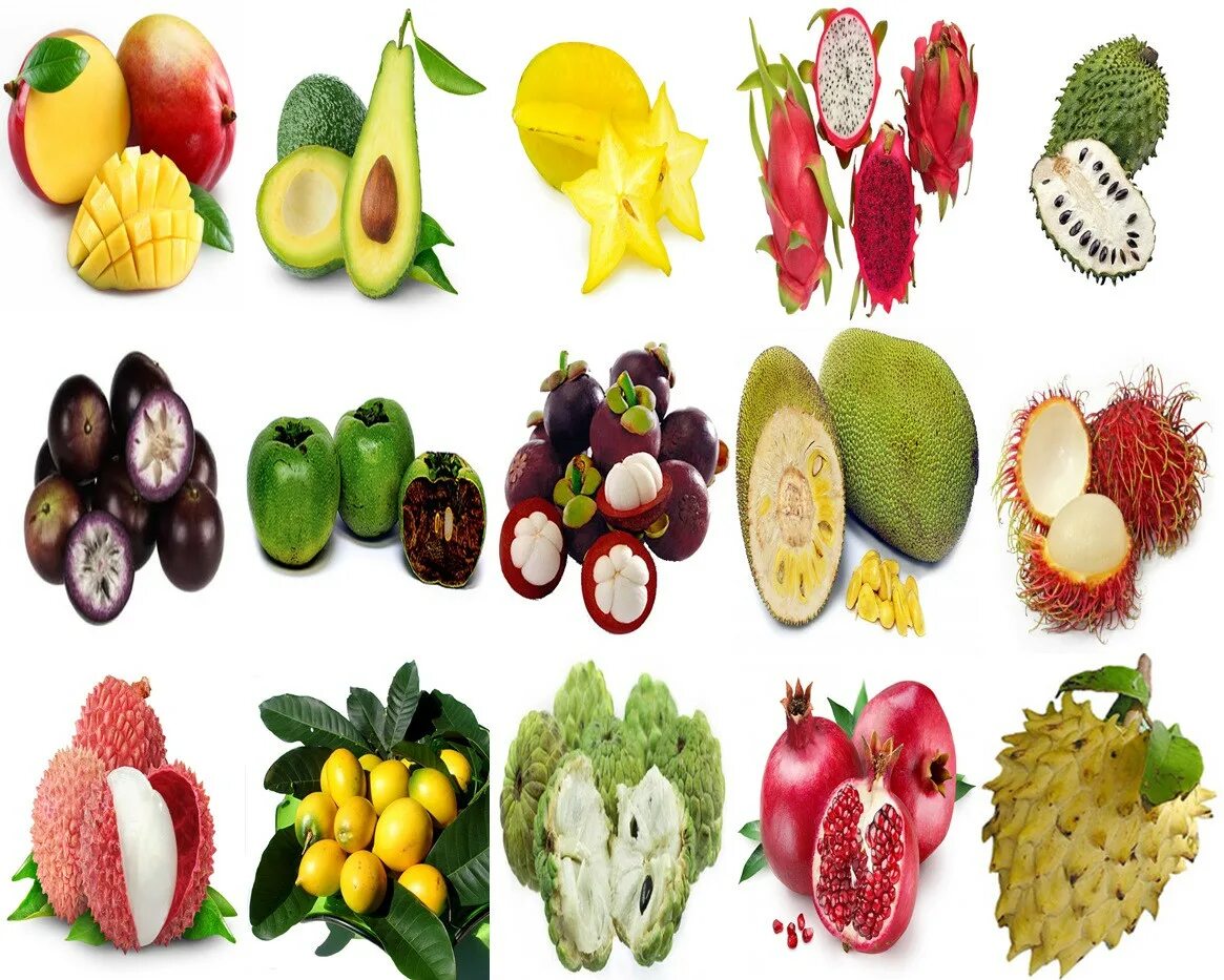 Название фруктов по фото онлайн Nth Qld Native Bush Fruit Green