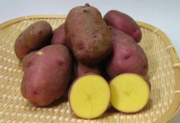 Название и фото желтой картофеля Potatoes SHIZUOKA GOURMET